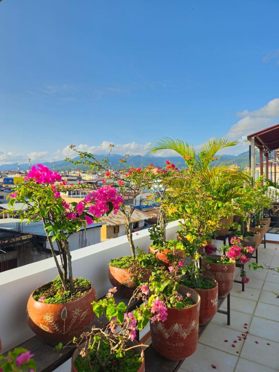 Hotel Residencial Brest Amazon Tarapoto Esterno foto